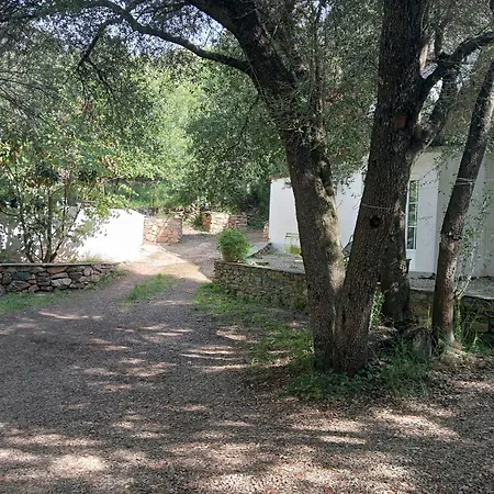 Pensión Berbi Rosse 3*