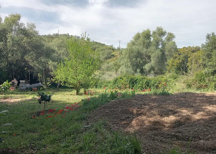 Berbi Rosse Πανσιόν Oletta (Corsica)