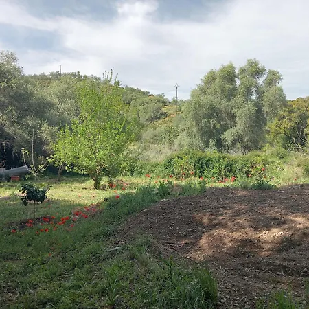 Berbi Rosse Guest house Oletta (Corsica)