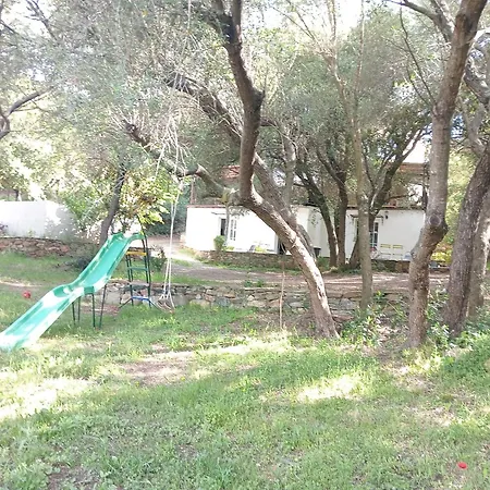 Berbi Rosse * Oletta (Corsica)